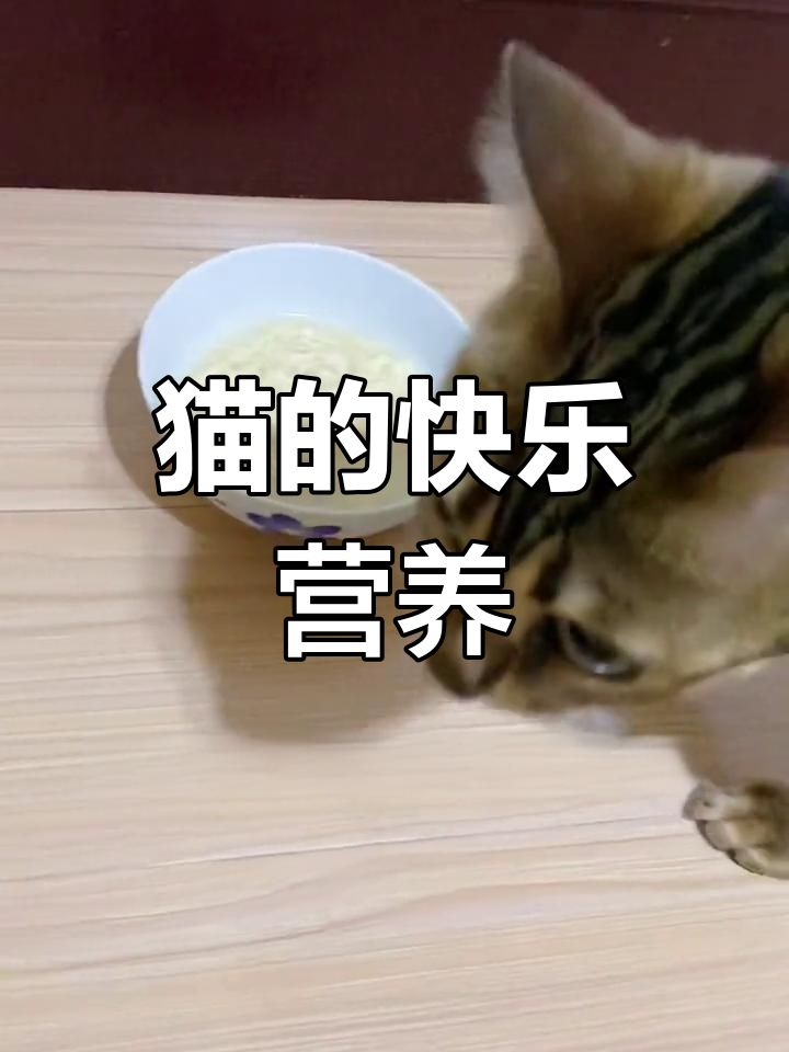 一块鸡胸肉,让猫咪开心又健康!