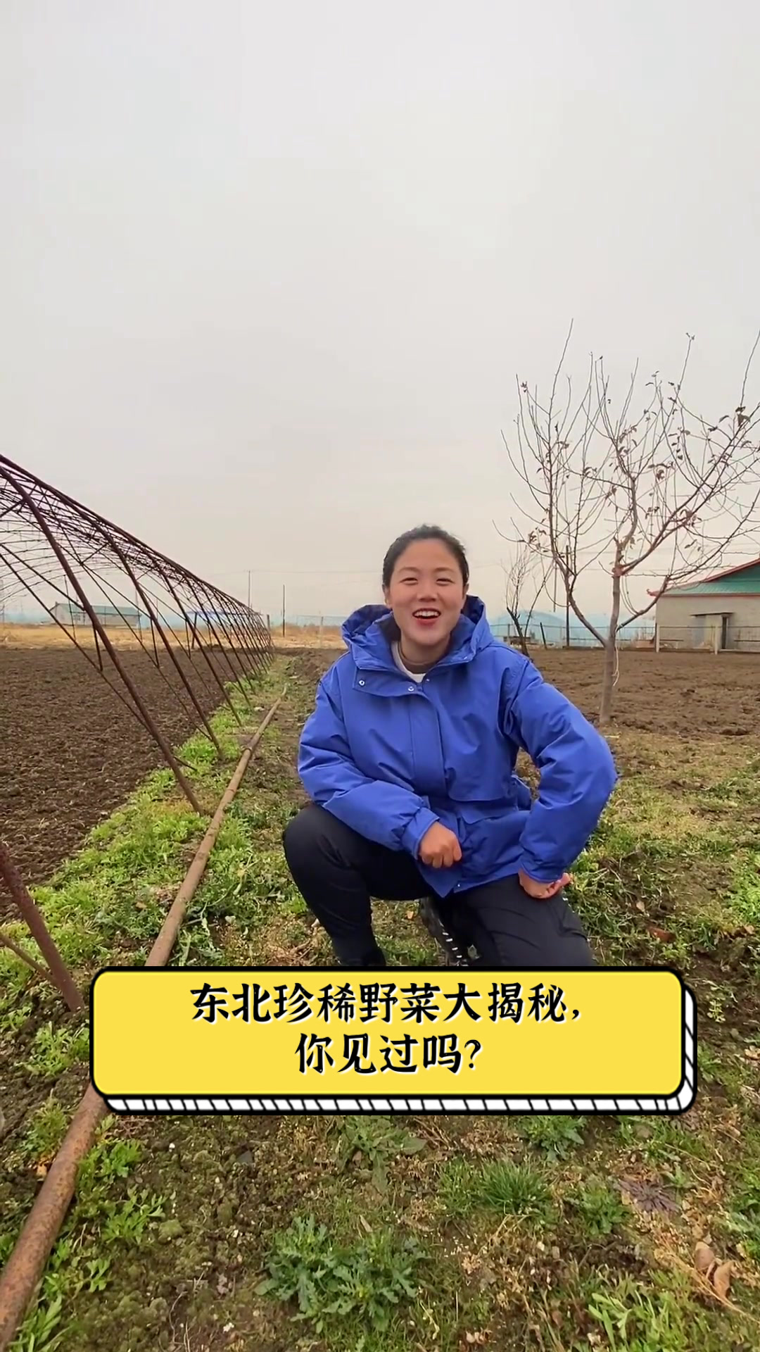 东北珍稀野菜大揭秘,你见过吗?