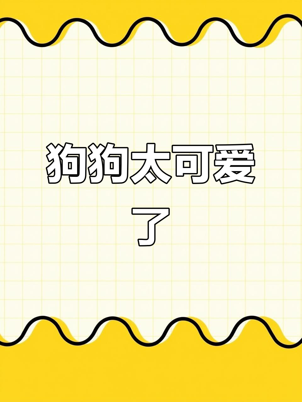 小狗萌态百出,老夫的少女心彻底被征服!