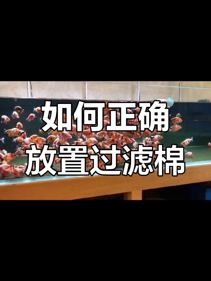 滤材摆放技巧,干湿分离效果更佳