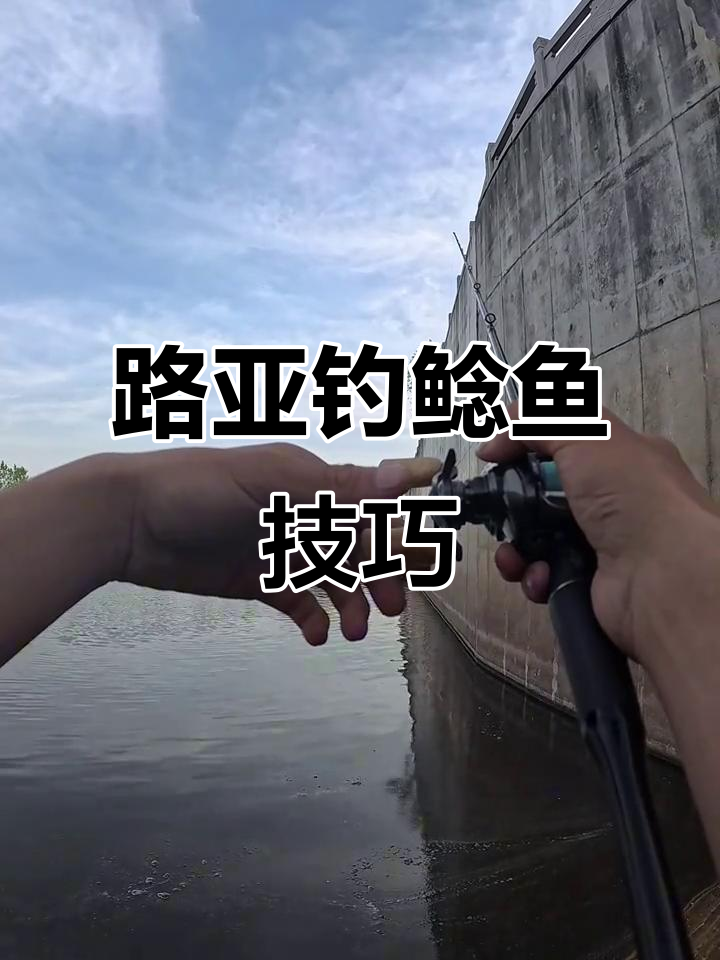 钓鲶鱼技巧大揭秘,轻松掌握路亚操作