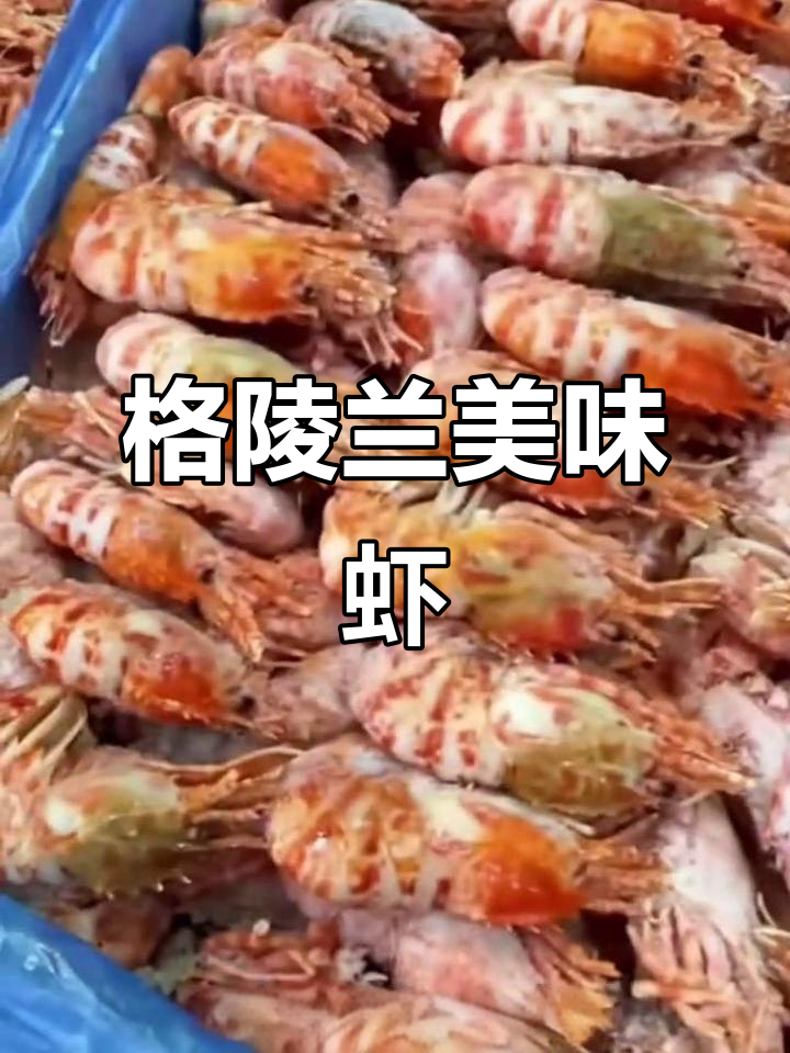 这款格陵兰虾，肉质鲜美紧实，熟冻即食，绝对让你回味无穷！