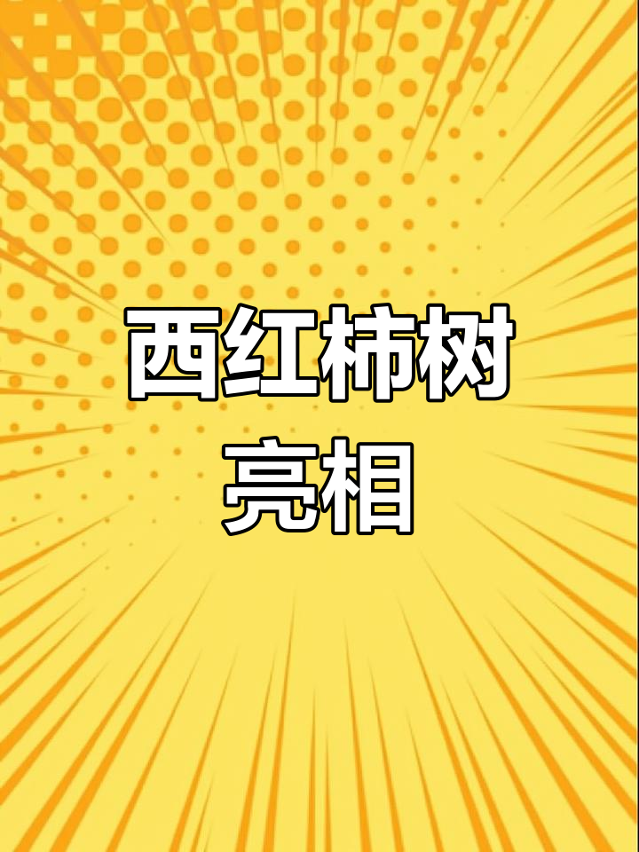 寿光菜博会惊现3吨西红柿树
