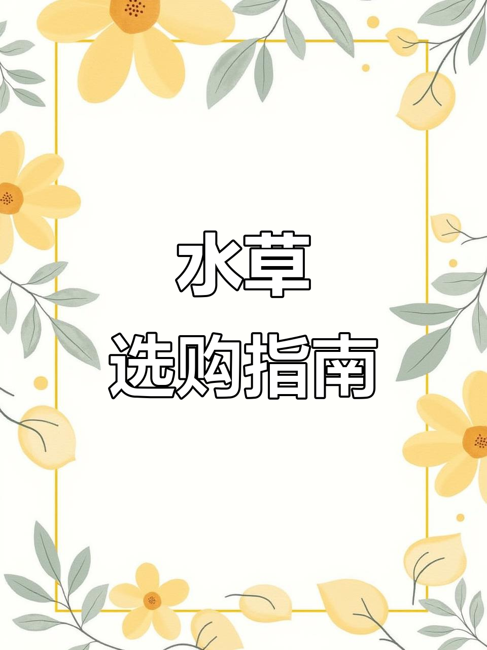从零开始养鱼，水草选择有诀窍！避免常见误区