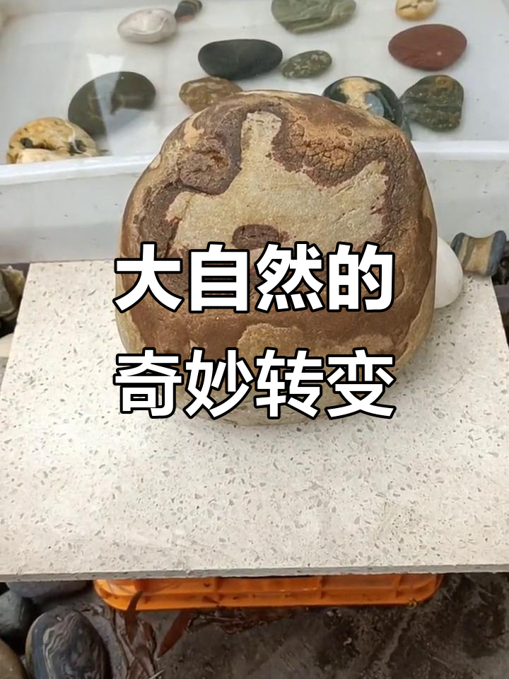 奇石变身,丑小鸭变天鹅!大自然的神奇雕刻