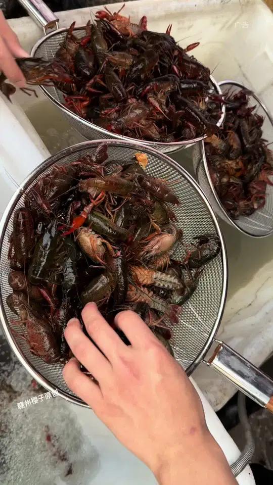 宏昌超市95元5斤小龙虾!你们买了吗?