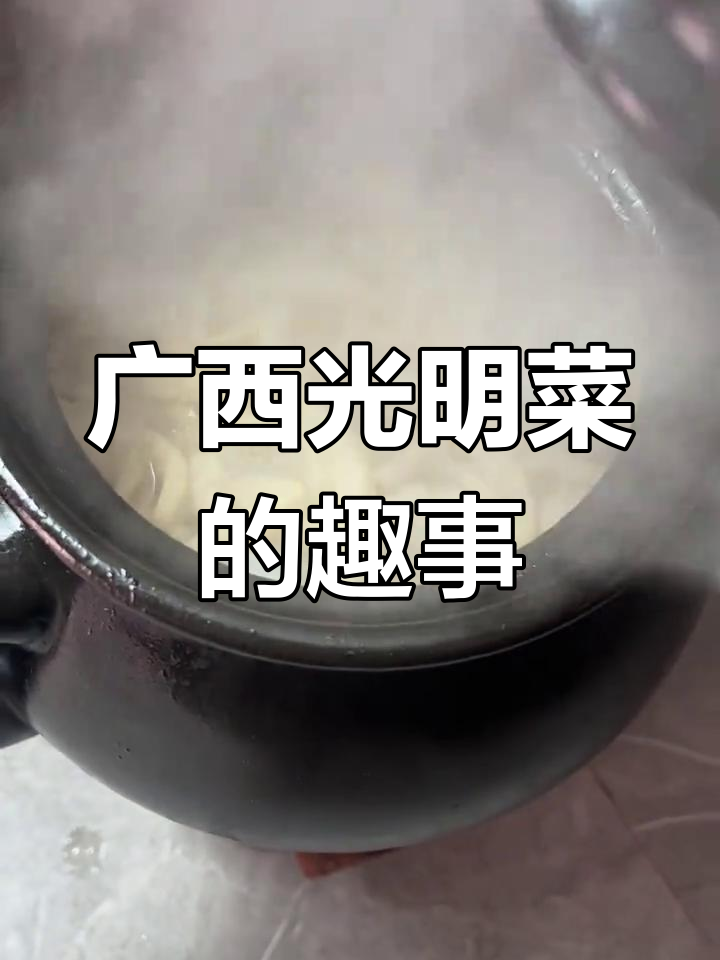 广西光明菜喇叭梗的独特魅力,订购规定让人忍俊不禁
