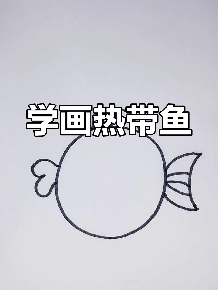简单几步画出热带鱼