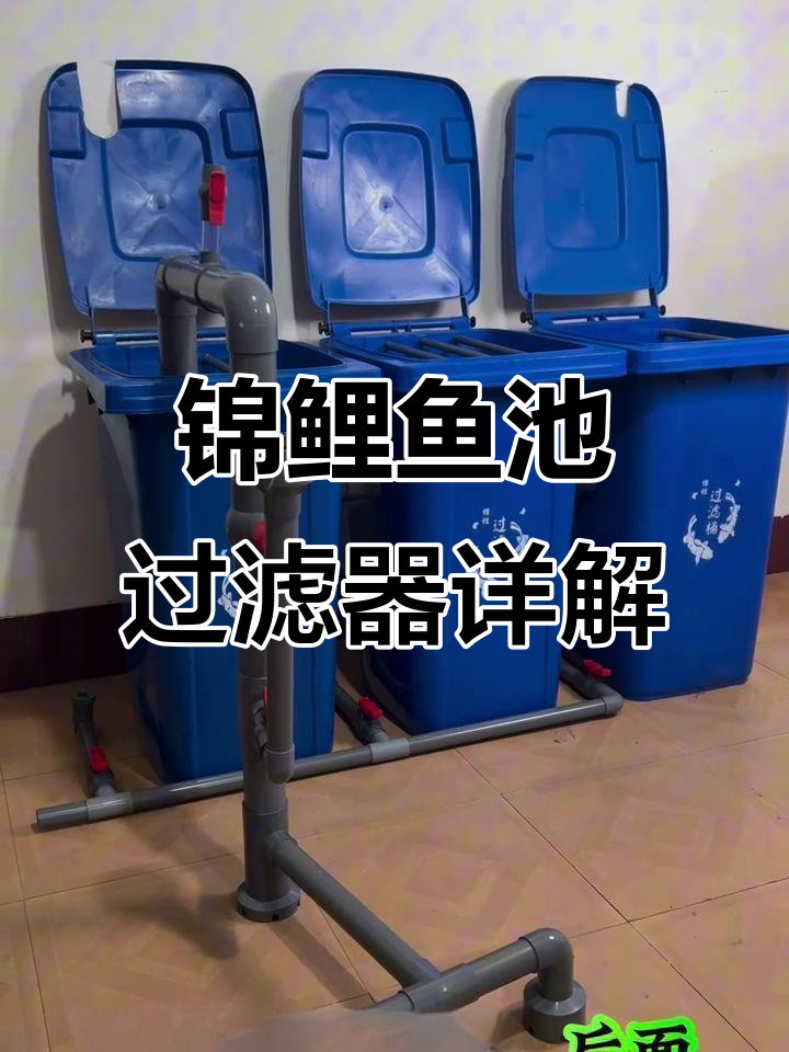 锦鲤鱼池过滤系统全解析：垃圾桶沉淀仓与毛刷拦截设计