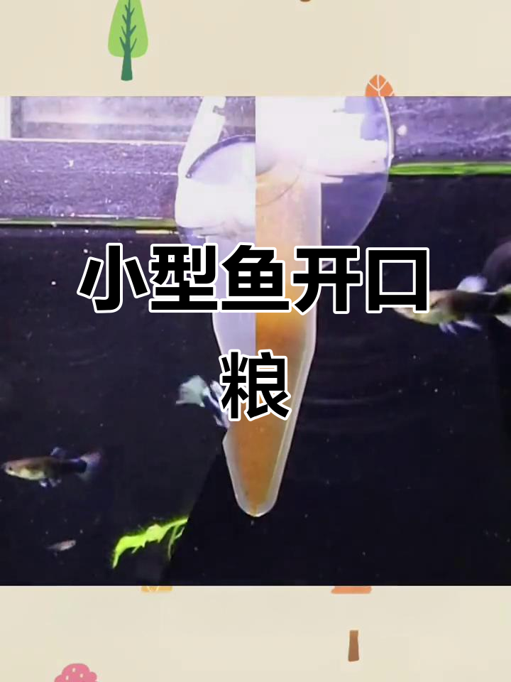 丰年虾卵,适合小型热带鱼开口饲料