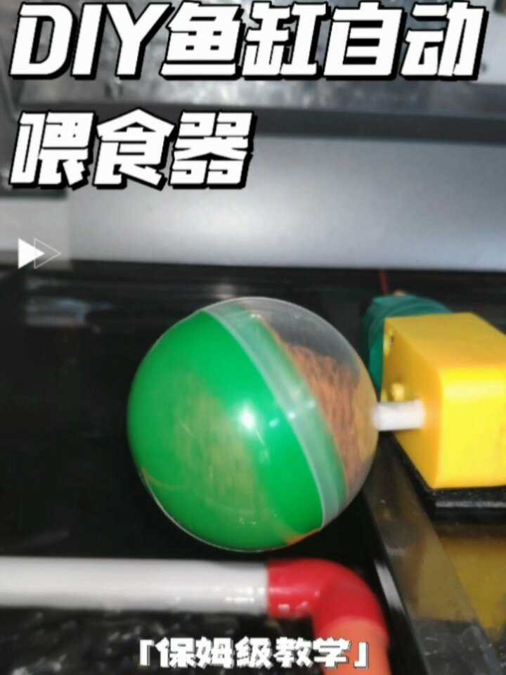DIY鱼缸自动喂食器假期不在家小鱼饿不到!
