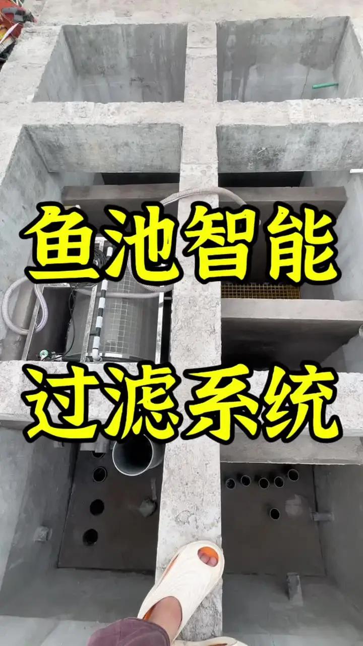 鱼池智能过滤系统 富阳庭院鱼池全自动智能过滤系统 转鼓微滤机 鱼池智能过滤系统 锦鲤鱼池 