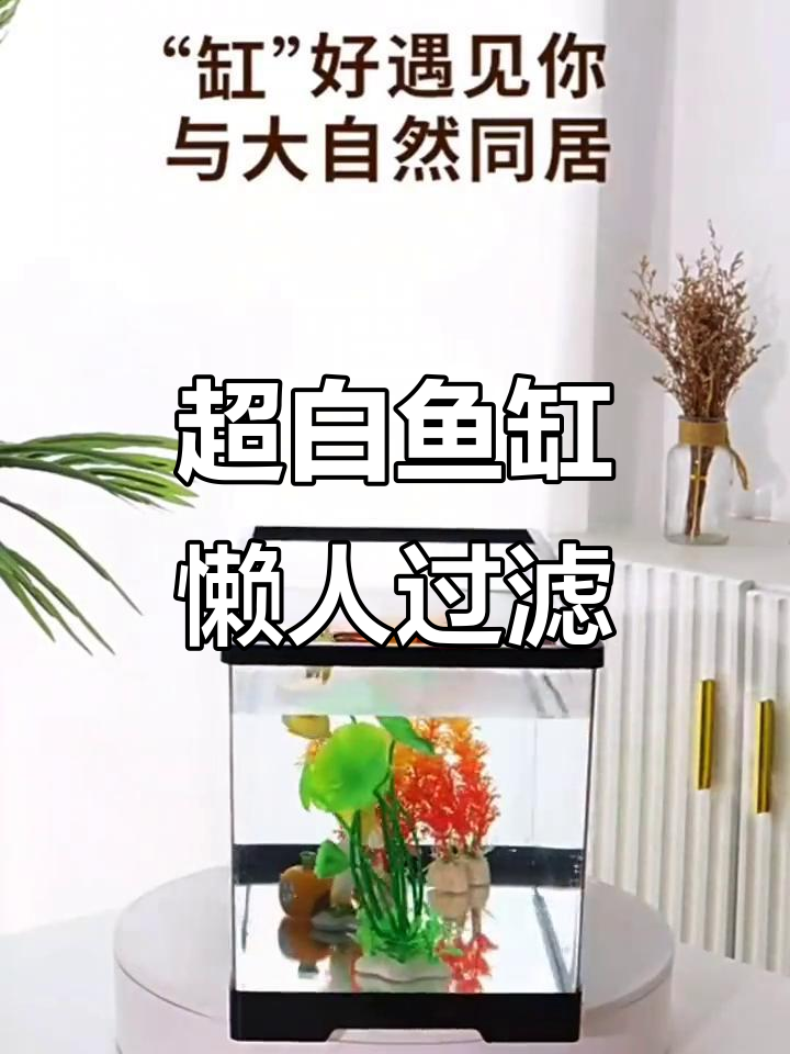 超白制氧水族箱,懒人底滤设计,客厅必备