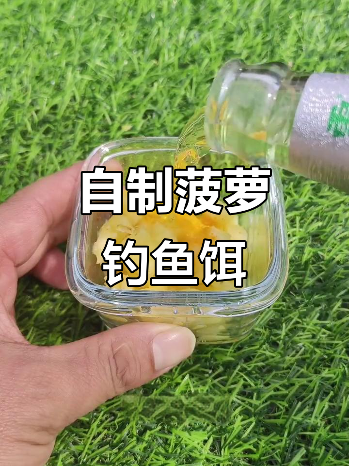 春天钓草鱼鲤鱼的秘密武器:菠萝饵料制作方法