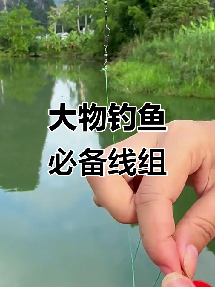 强力浮钓线组,轻松应对大草青鱼,耐磨耐用,效果显著