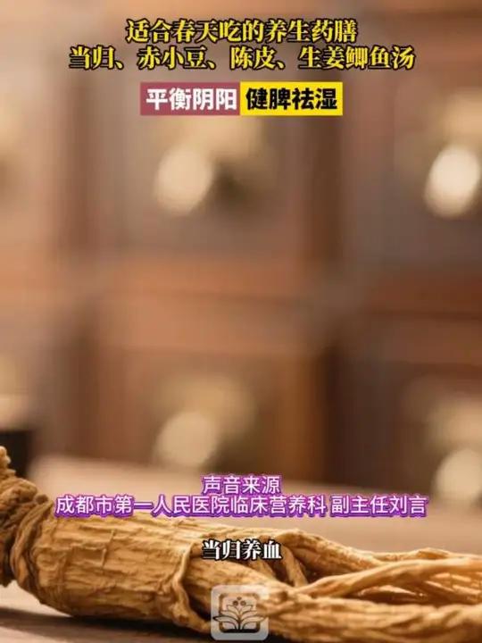 适合春天吃的养生药膳,当归、赤小豆、陈皮、生姜鲫鱼汤,平衡阴阳,健脾祛湿#长春就是长春 #