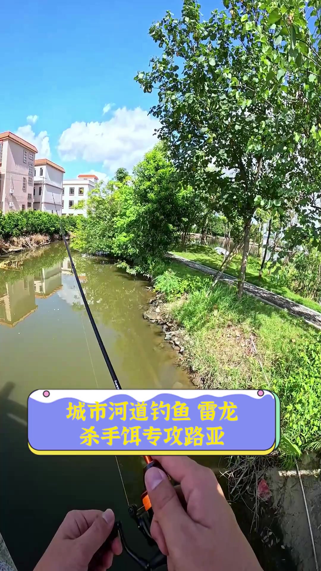 城市河道钓鱼,雷龙杀手饵专攻路亚