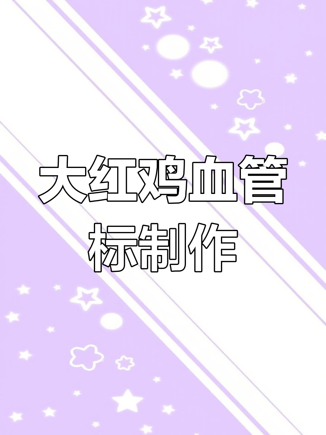 揭秘大红鸡血管标本的制作过程,原来是这样!