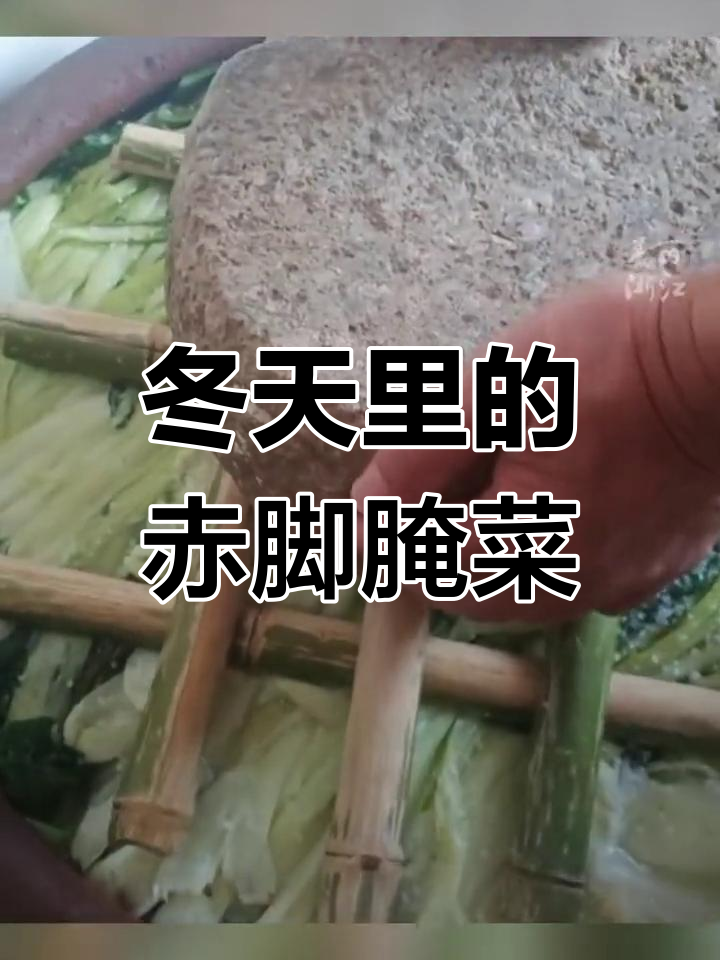 浙江冬腌菜,赤脚踩更香?