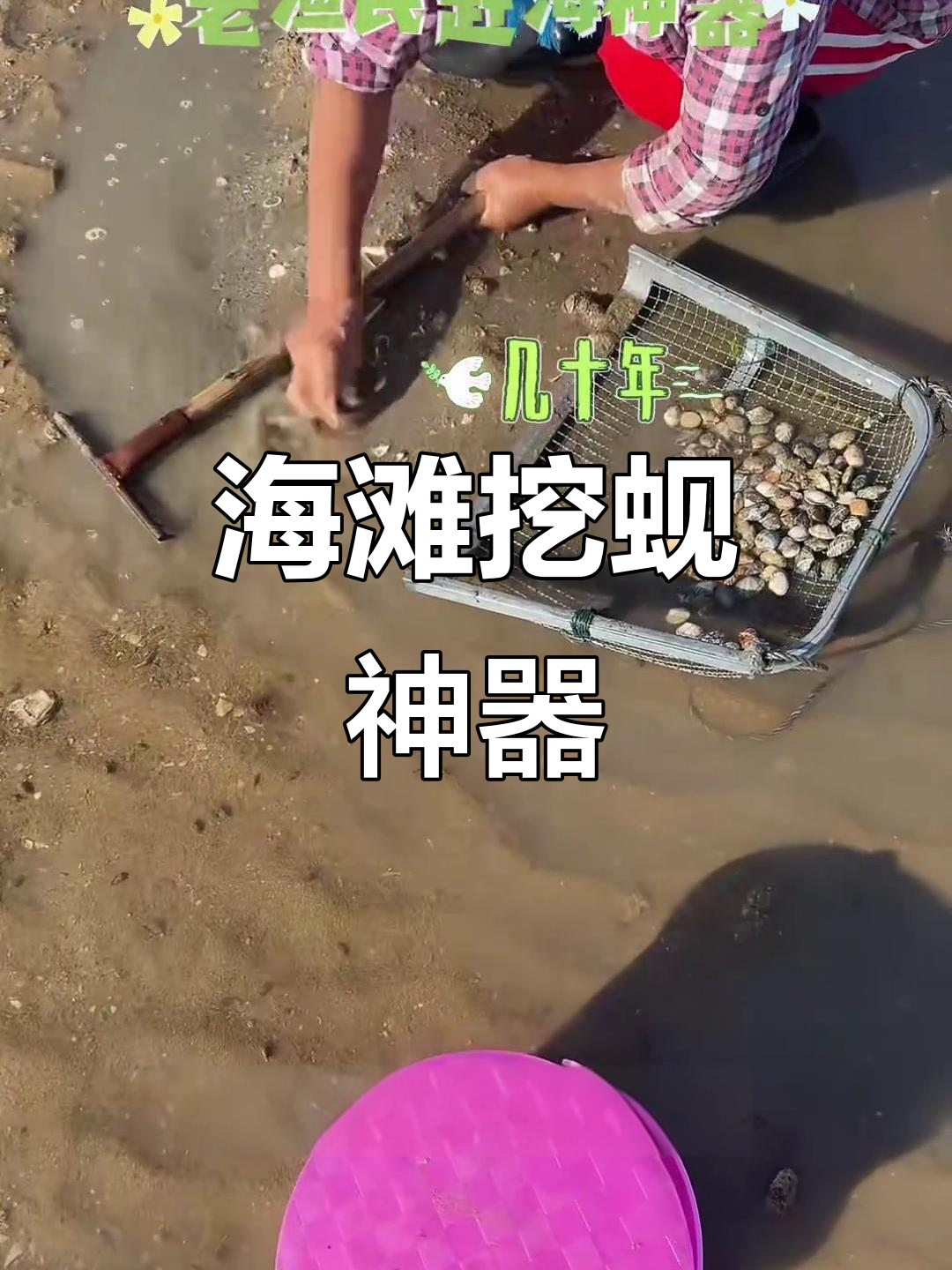 海滩寻宝必备,自制大耙子让你轻松挖出美味蚬!