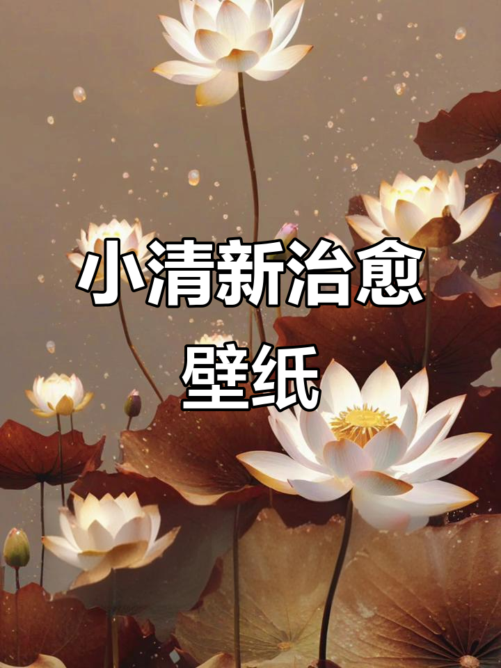 唯美小清新治愈系壁纸,意境深远让人心旷神怡