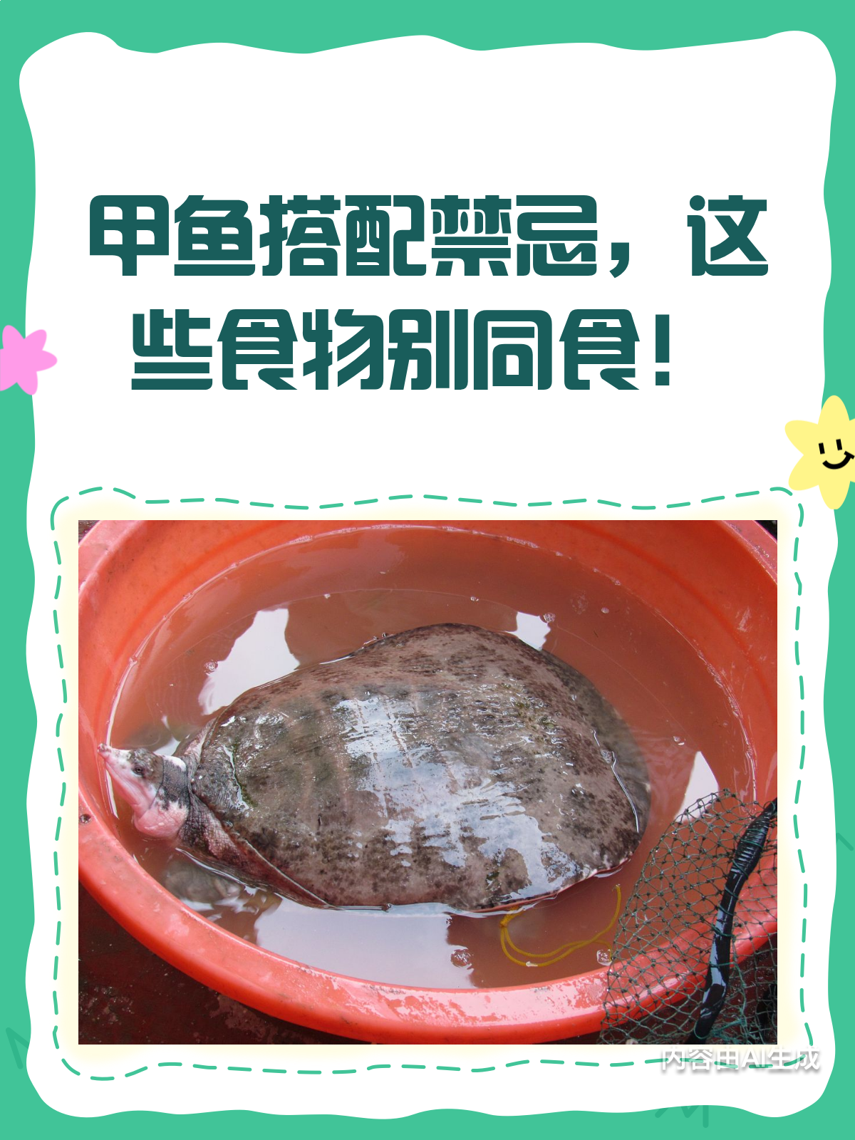紧急通知!甲鱼不能和这些一起吃!