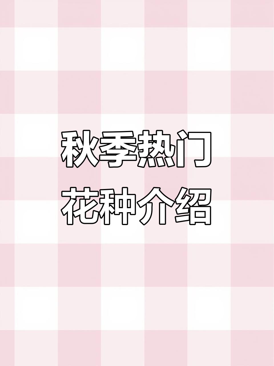 3月新品推荐:这些秋海棠品种值得入手,价格亲民