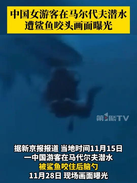 惊险!中国女游客在马尔代夫遭鲨鱼咬头,其伤口缝了40多针,警方表示该游客随后被送往医院接受
