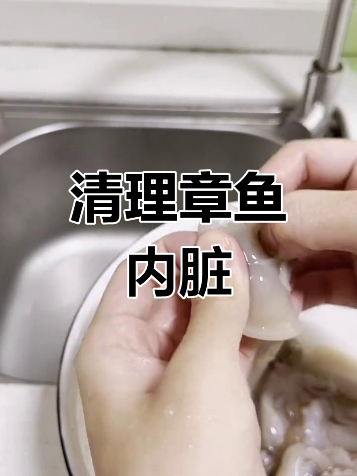 处理新鲜章鱼,去除内脏和牙齿