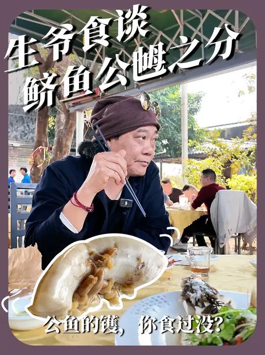 钓鱼佬!鲚鱼的镬你食过没?顺德佬食谈,冷鲚热鲈,鲚鱼都有公乸之分!
