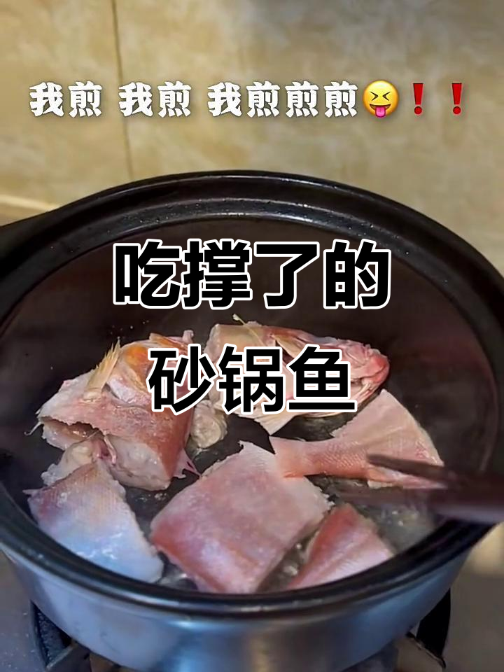 砂锅大眼鸡鱼,吃撑了!