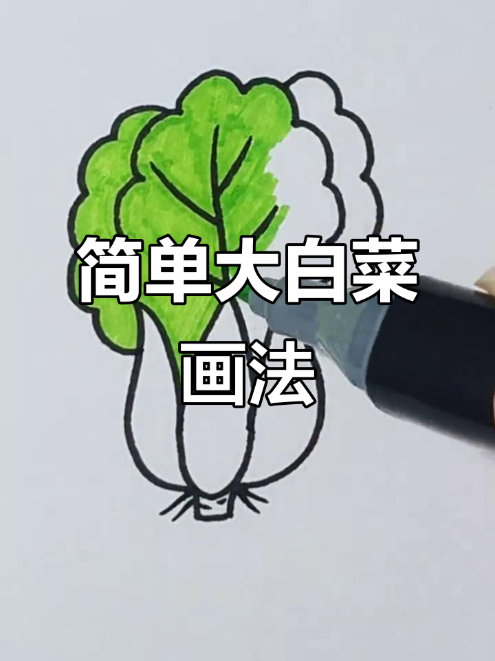 大白菜简笔画,轻松学会!