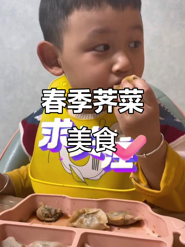 春天吃荠菜,营养丰富又美味,牛肉饺子超赞!