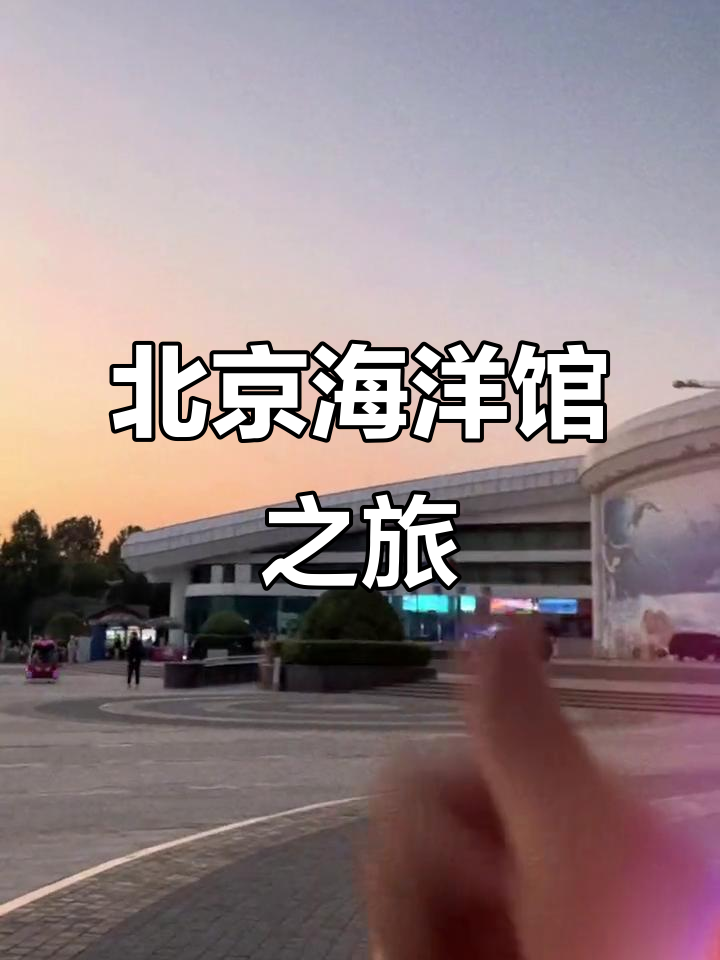 北京海洋馆探秘:巨骨蛇鱼、红尾年与鲨鱼的精彩登场