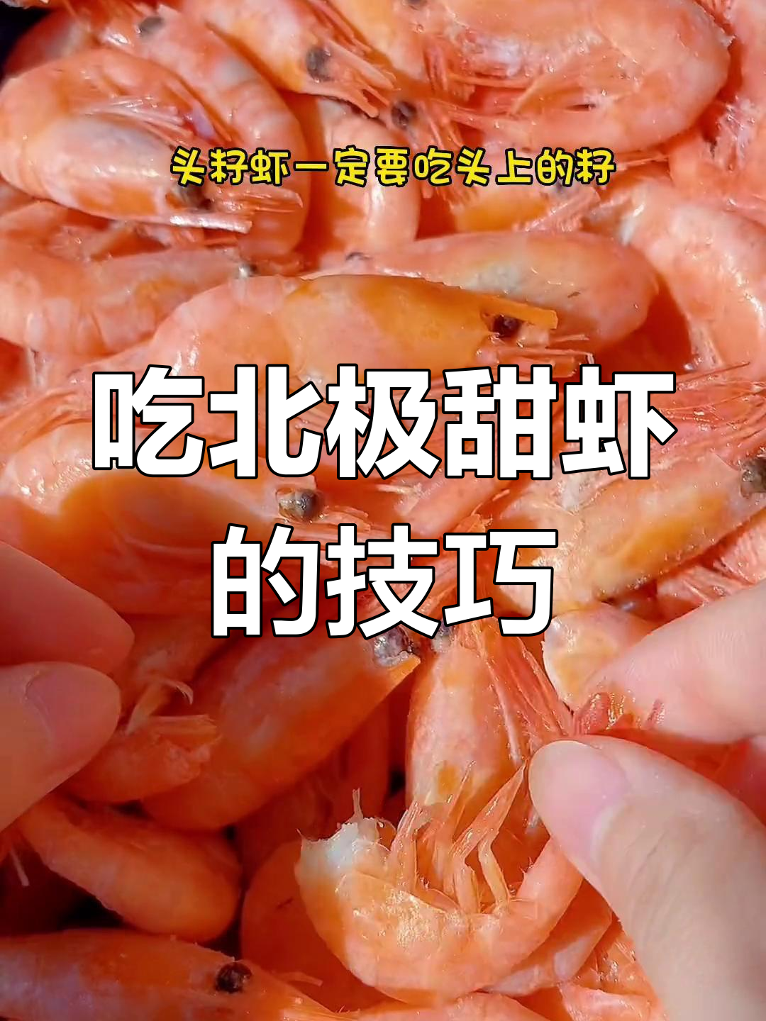 北极甜虾的正确吃法,头部籽不可错过