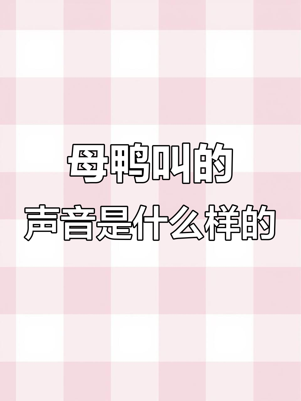 公鸭母鸭叫声大不同,你听出来了吗?