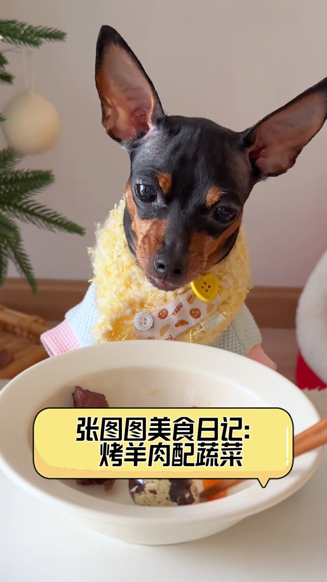 张图图美食日记:烤羊肉配蔬菜