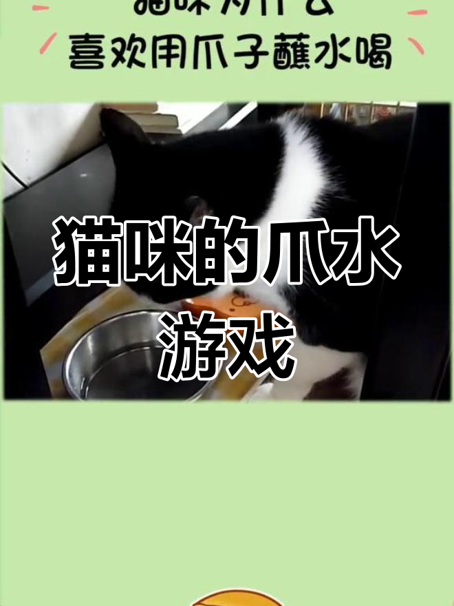 猫咪为何喜欢用爪子喝水?