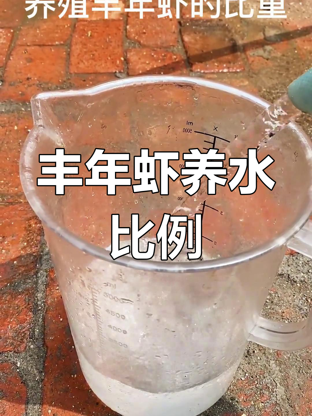 丰年虾养殖水配置指南:盐度与容器选择