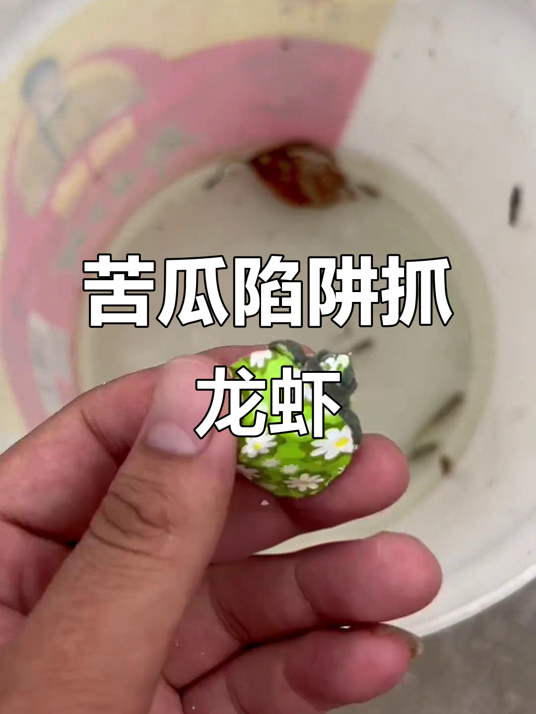 苦瓜陷阱捕捉小龙虾,意外捞到卡通小乌龟