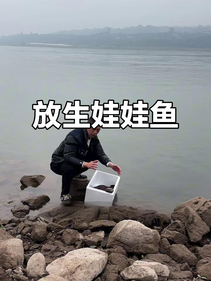 冬季放生娃娃鱼,公母两条五斤重
