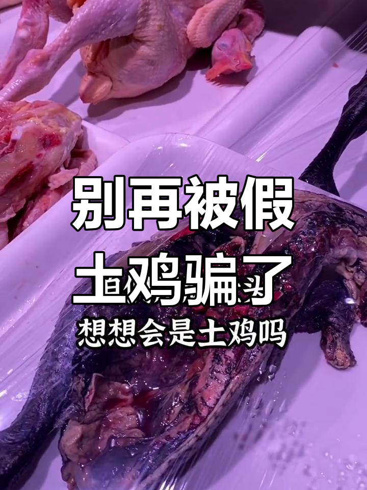 买鸡时,这种“老母鸡”可能是淘汰蛋鸡