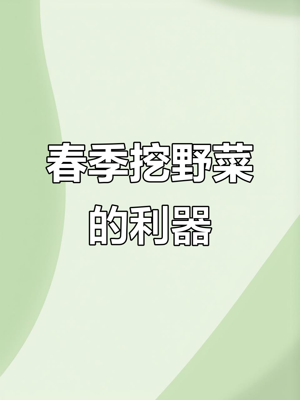 春天挖野菜必备！这款小铲子让你轻松斩断根系