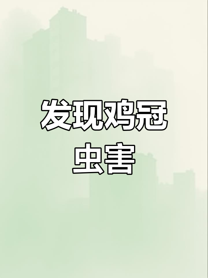 贵州玉米地惊现大量有害昆虫,农民急寻防治方法