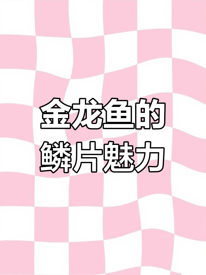 鳞底之美,火山上的金龙鱼魅力尽显