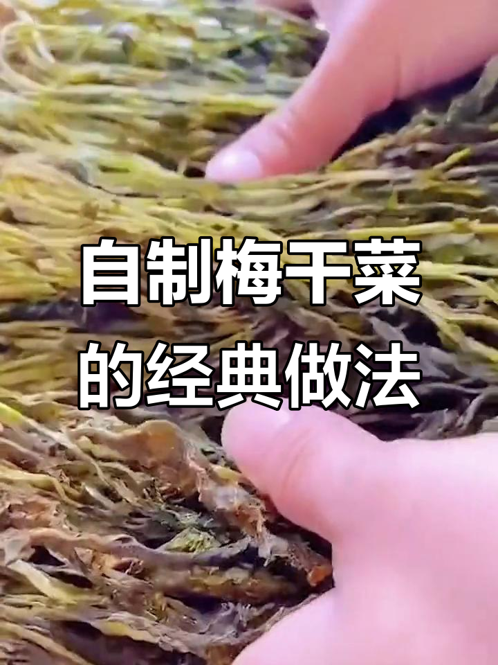 传统梅干菜制作秘籍:三蒸三晒,轻松做出地道风味