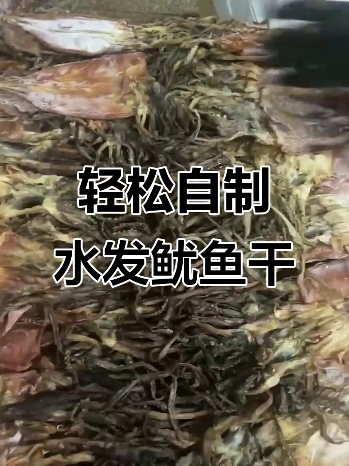 水发鱿鱼干制作揭秘,简单步骤教你做美味