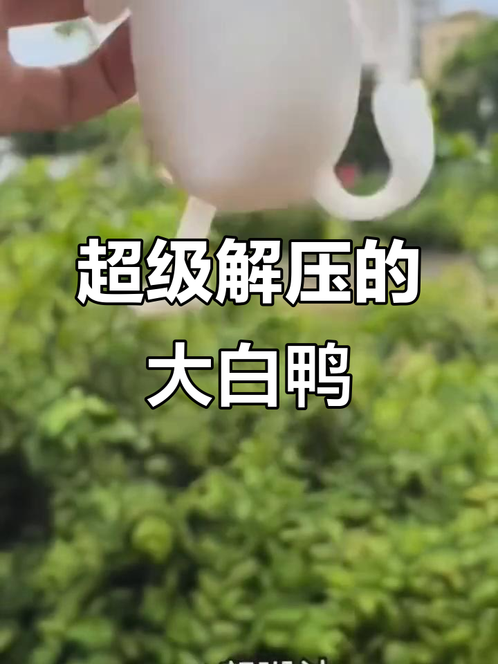这只大白鸭太可爱了,玩一整天都不腻