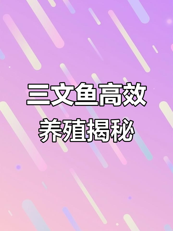 探访高密度循环水养殖基地,三文鱼健康快速成长