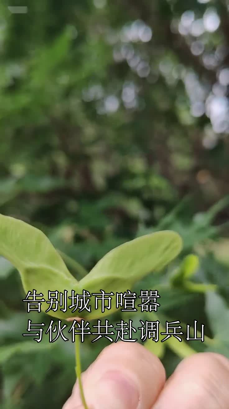 告别城市喧嚣与伙伴共赴调兵山